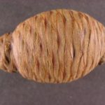 https://dendrology.tennessee.edu/wp-content/uploads/sites/263/formidable/13/wfirC-f32a2a-150x150.jpg