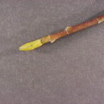 Twigs and buds of a yellow popular