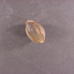 Fruit of a pecan